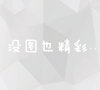 如何通过SEO站长工具深度洞察网站的流量情况？